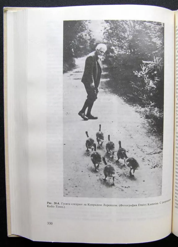 Gyvūnų elgesys: psichobiologija, etologija ir evoliucija (knyga rusų kalba) - David McFarland, knyga 6