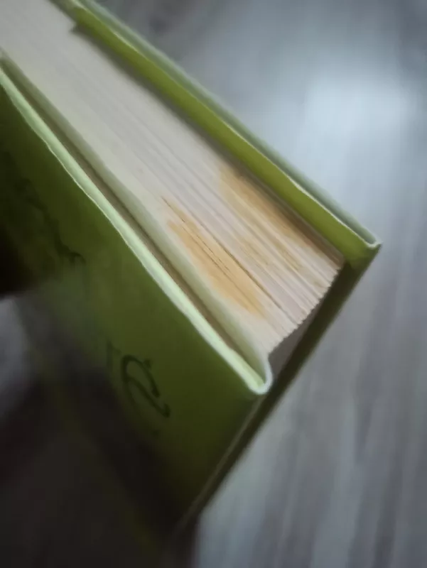 Telefoninis romanas - Irena Buivydaitė, knyga 3