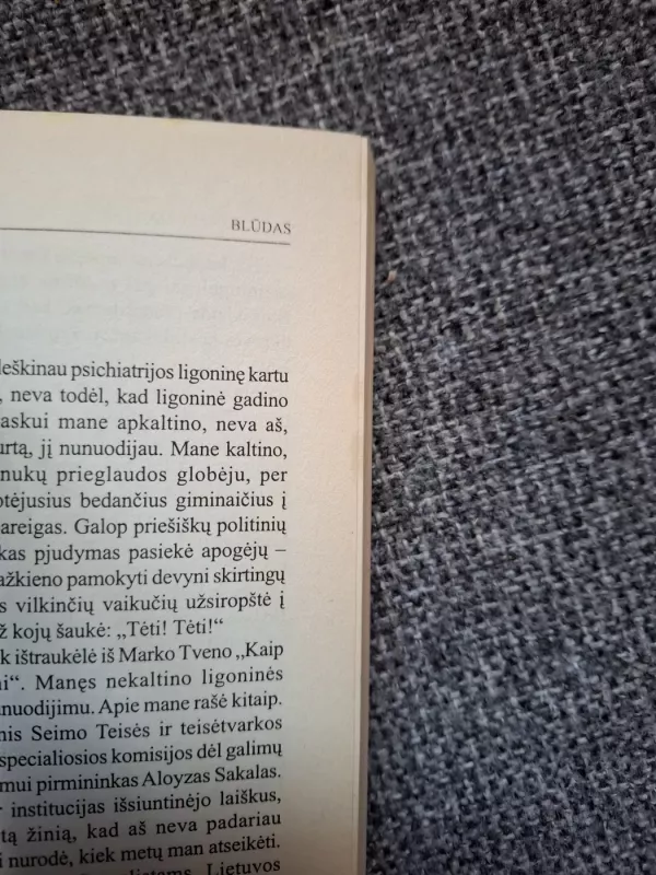 Blūdas: ironiška politinė detektyvinė vizija - Vladas Žalnerauskas, knyga 4