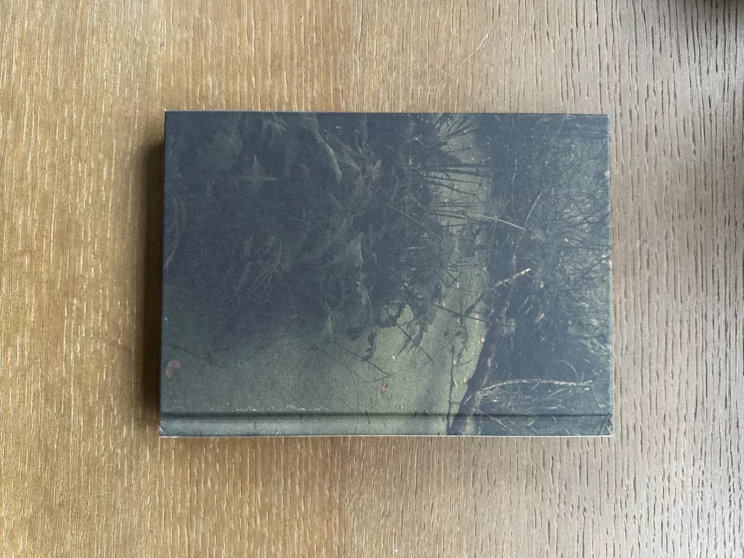 Miško maudynės. Shinrin-Yoku - Quing Li, knyga 3