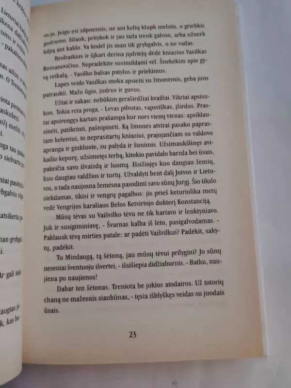 Vaišvilkas - Juozas Kralikauskas, knyga 4