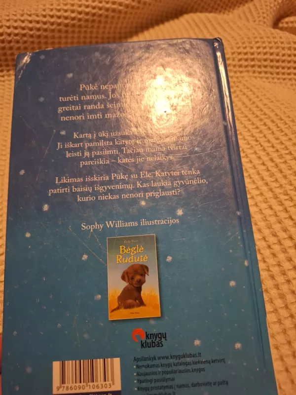 Pasiklydusi sniege - Holly Webb, knyga 4