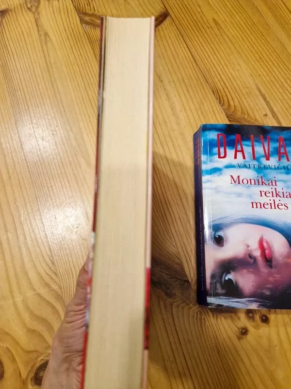 Kamilė nori mirti - Daiva Vaitkevičienė, knyga 4