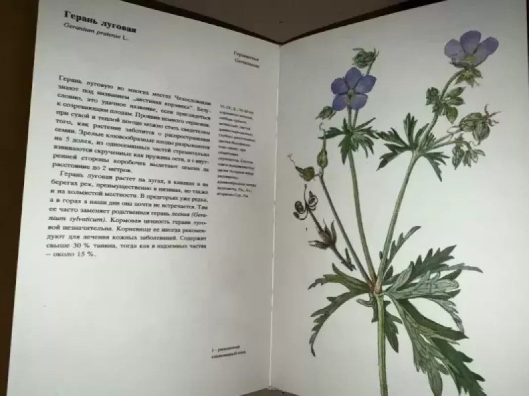 Laukų ir miškų augalai - Bogumil Slavik, knyga 3