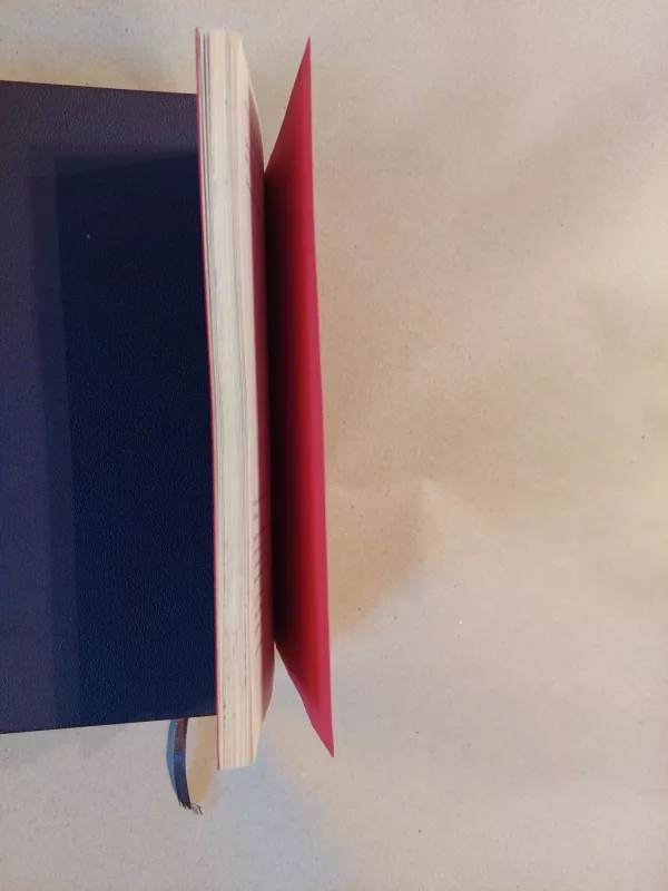 Motulės Žąsies eilėraščiai. Britų tautosaka vaikams - Įvairūs autoriai, Įvairūs autoriai • Iš anglų kalbos vertė Violeta Palčinskaitė, knyga 4