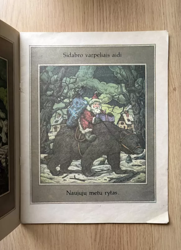 Naujieji metai - Janina Degutytė, knyga 3