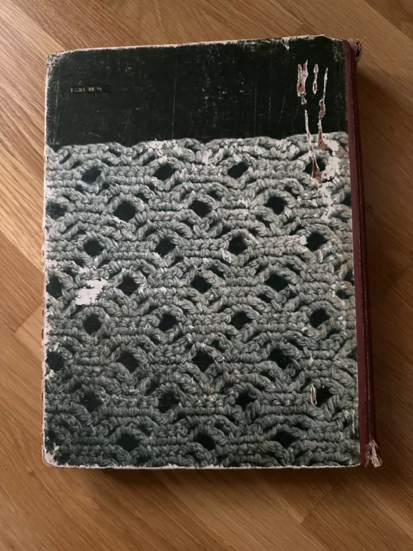 Mezgimas - K. Žirgulienė, knyga 3