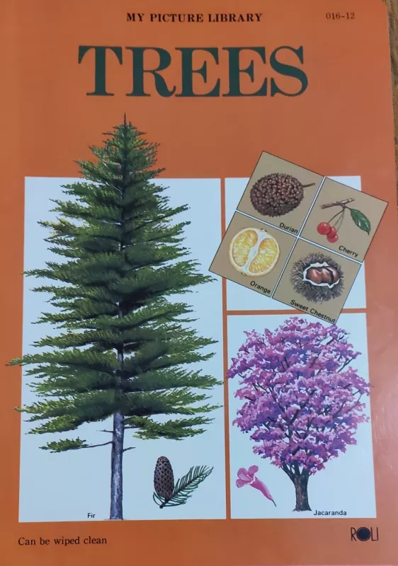 My pictures library. Trees. Reptiles and Amphibians. Costume in the world - Paveikslėlių knygos, knyga 3