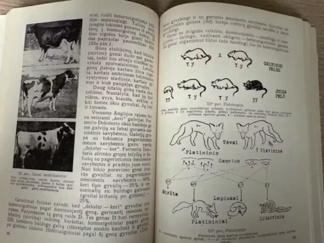 Evoliucijos ir genetikos pagrindai - V. Bražukas, knyga 3