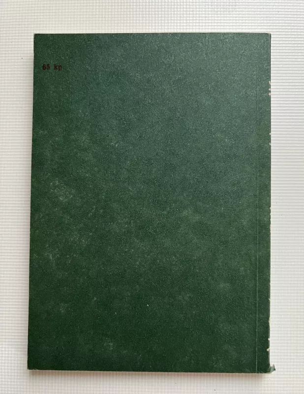 Bitlų eros hieroglifas - Vytenis Rožukas, knyga 3