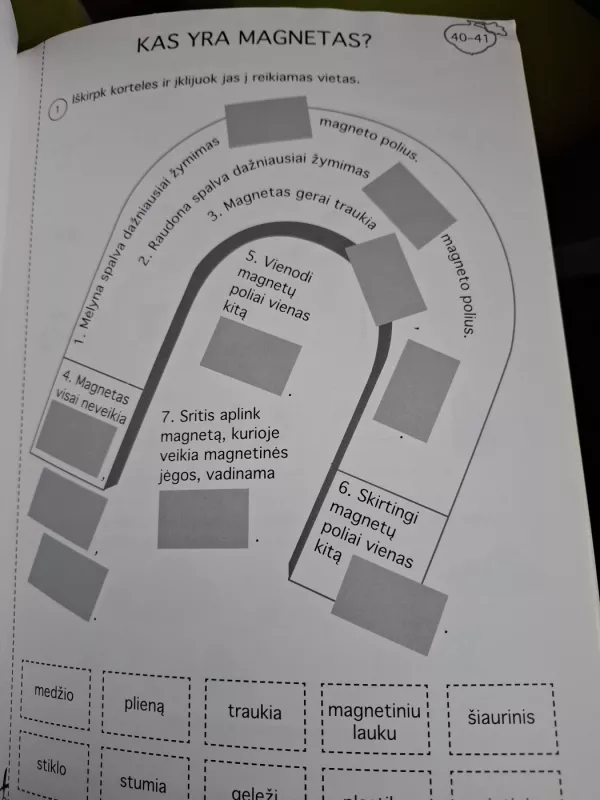 Gilė. Dalijamoji medžiaga - Ligita Kukanauzienė, Aušra Didžgalvienė, Edita Minkuvienė, knyga 4