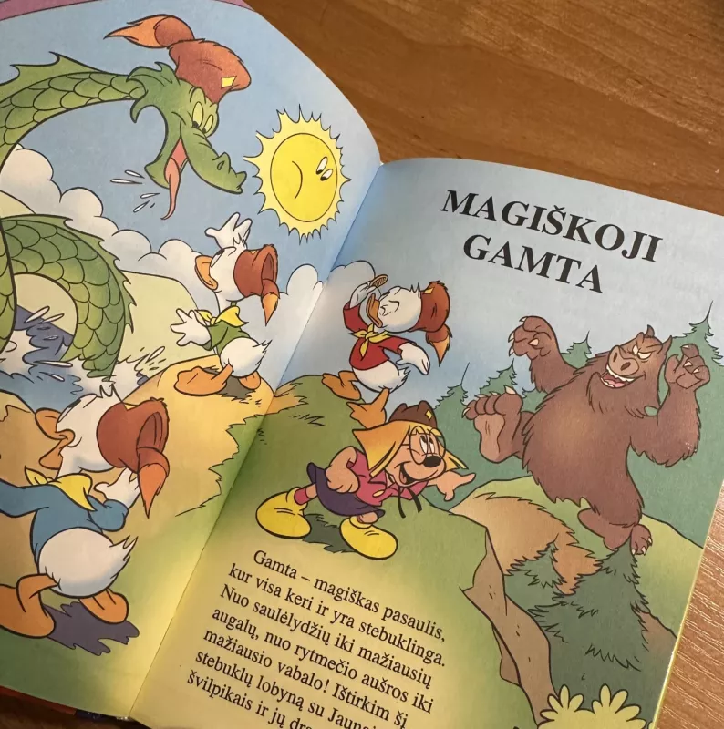 Jaunųjų švilpikų enciklopedija 11. Burtai ir magija - Walt Disney, knyga 4