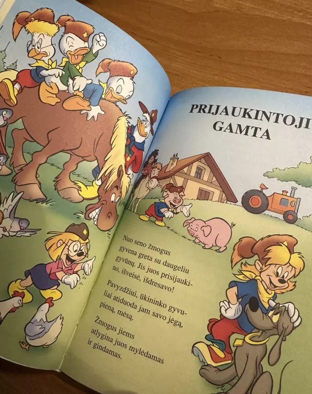 Jaunųjų švilpikų enciklopedija 9. Gamtos gundrybės - Walt Disney, knyga 5