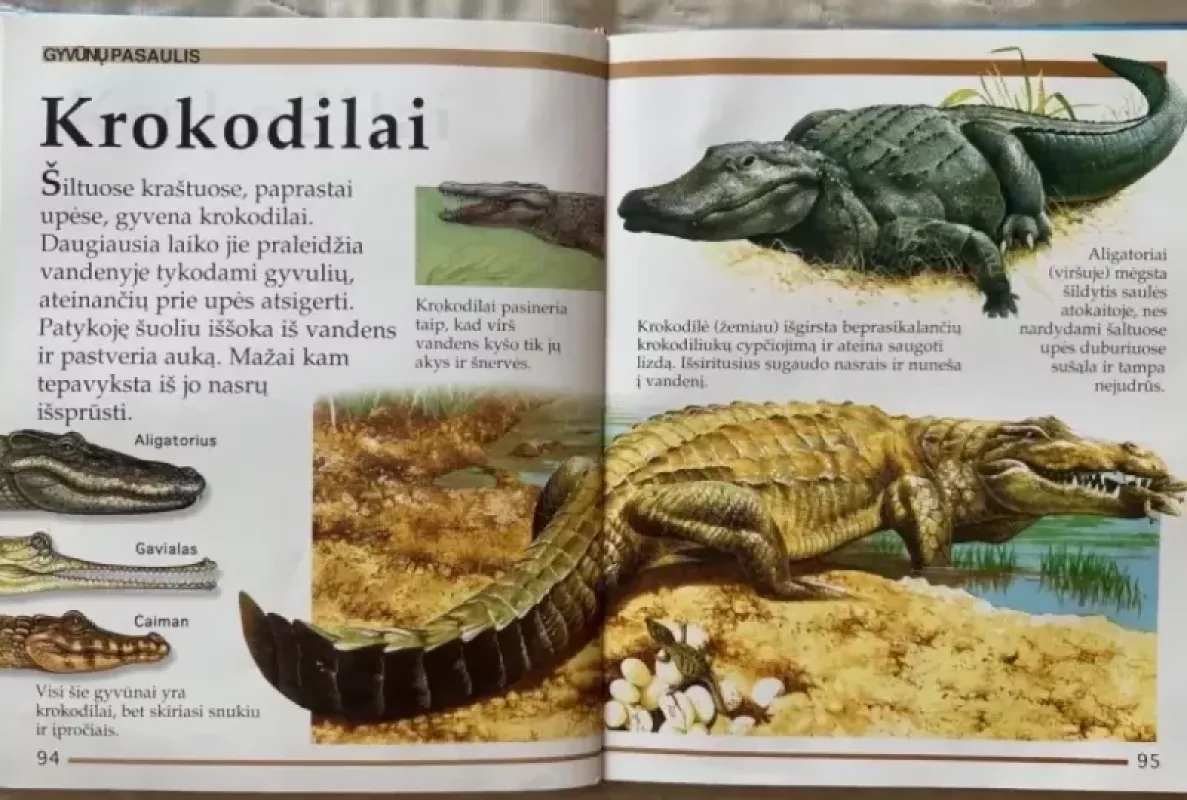 Kurkadakas - Angela Wilkes, knyga 6