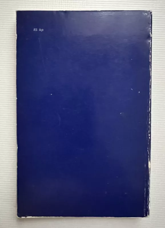 Vėjuota saulė - P. Palilionis, knyga 3