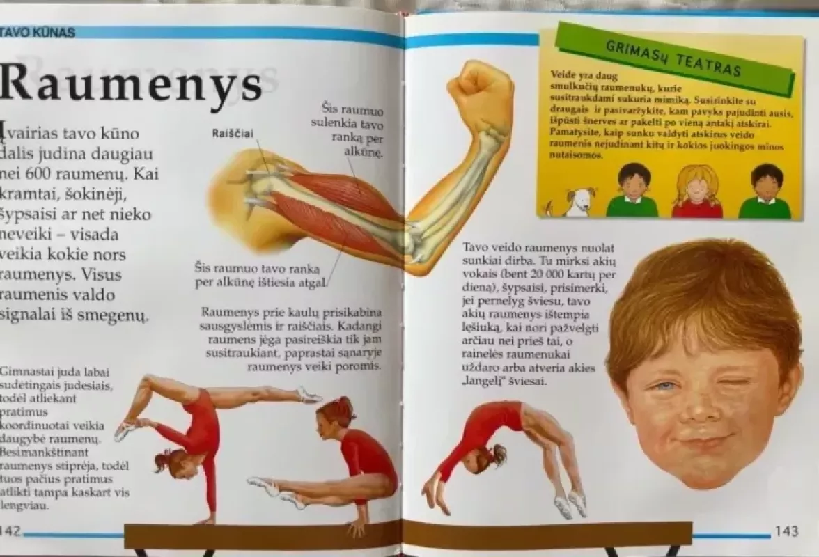 Kurkadakas - Angela Wilkes, knyga 4