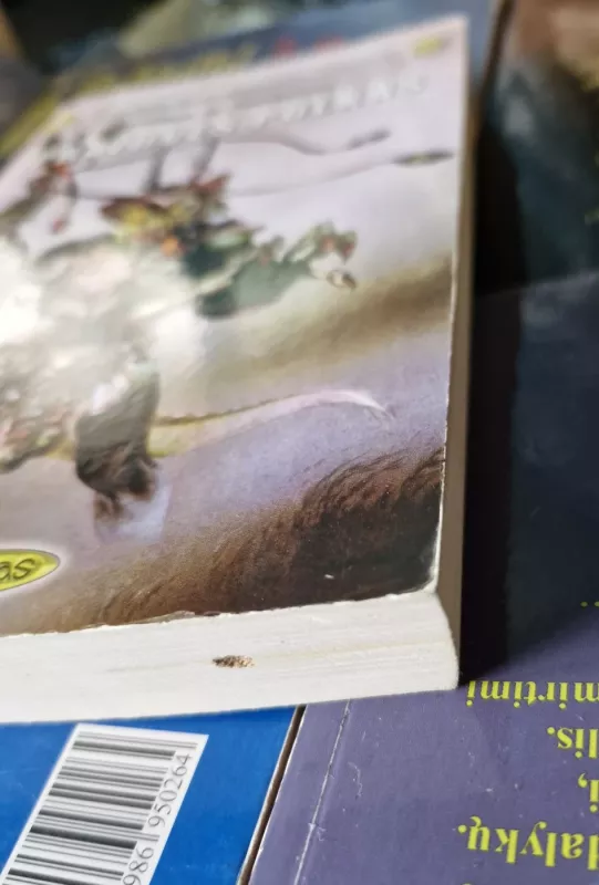 Pražuvęs pulkas (356) - William R. Forstchen, knyga 4