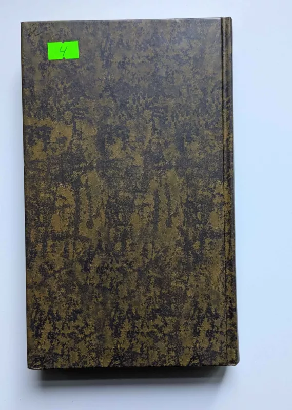 Apie meilę ir šešėlius - Isabel Allende, knyga 3