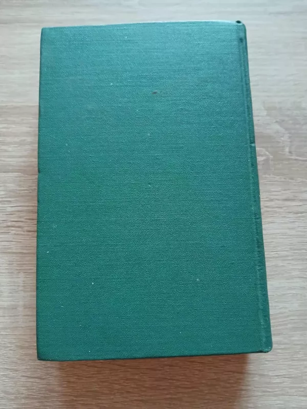 Kam skambina varpai - Ernestas Hemingvėjus, knyga 3