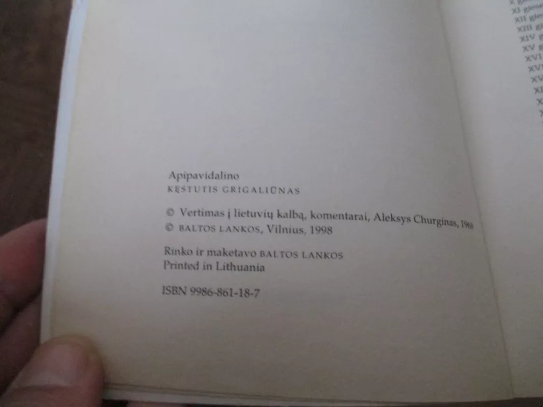 Dieviškoji komedija Pragaras - Alighieri Dante, knyga 4