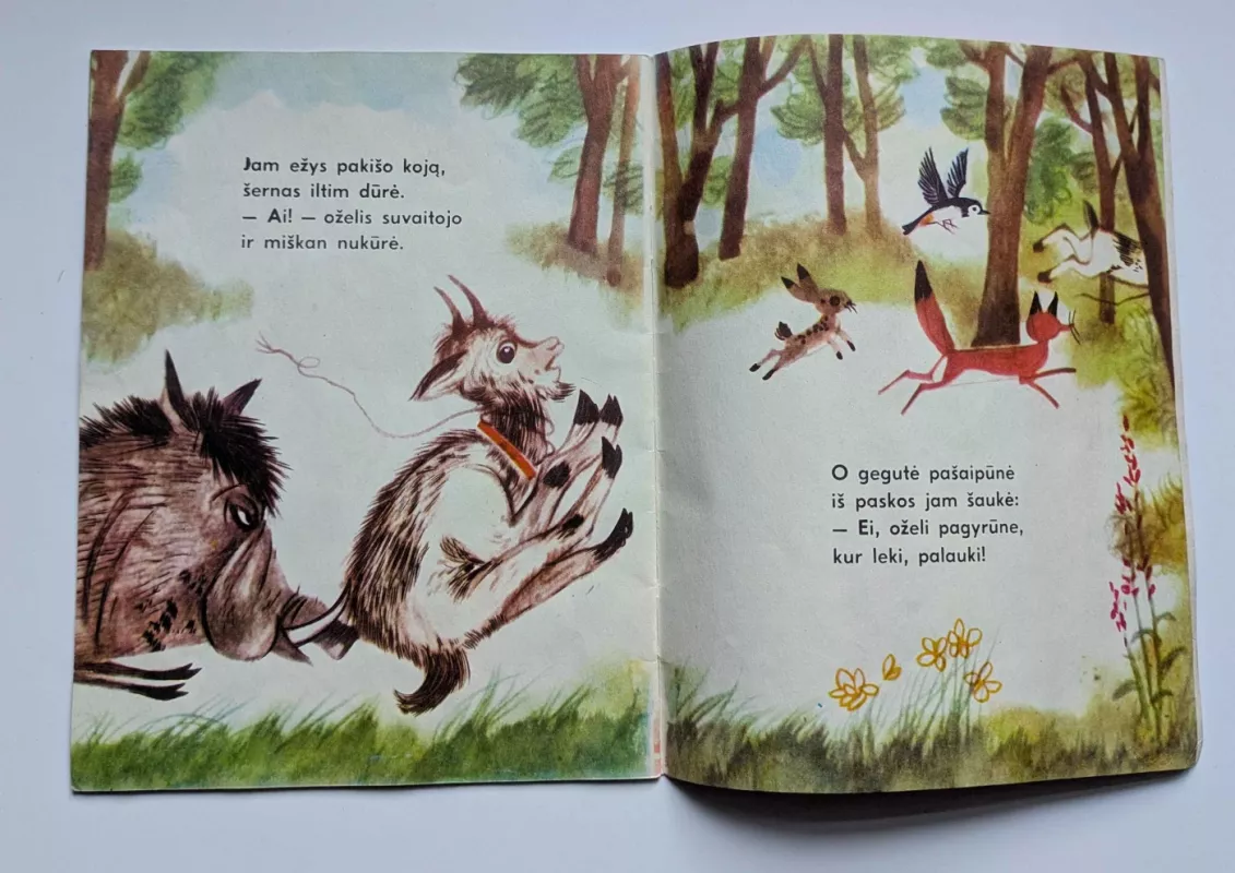 krumbachas Įžūlus oželis - Walter Krumbach, knyga 4