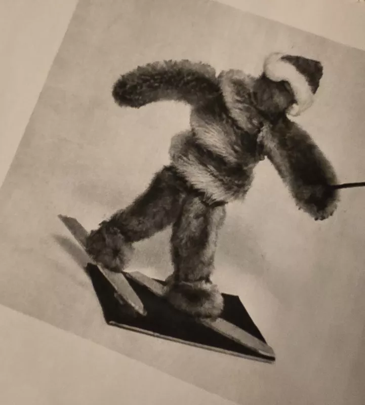 Pasidaryk pats - xxx, knyga 4