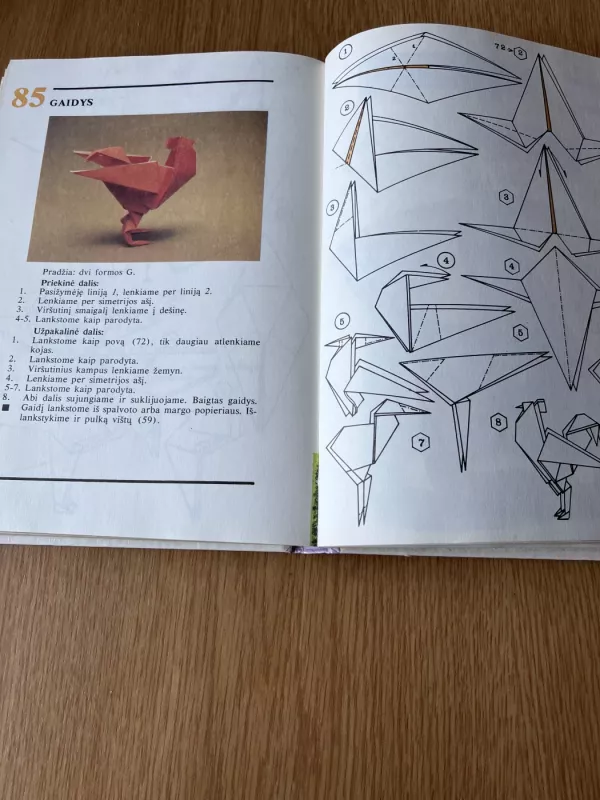 Susipažinkite - origamis - J. Paulionytė, knyga 4