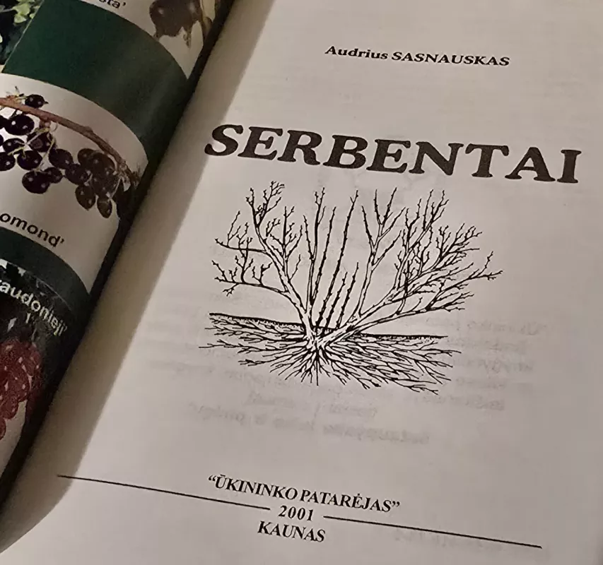 Serbentai - Audrius Sasnauskas, knyga 3