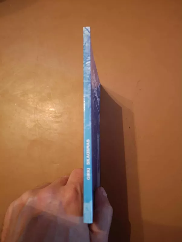 Girių skausmas. Lietuvos miškininkai-okupacijos aukos - Juozas Barisa, knyga 3