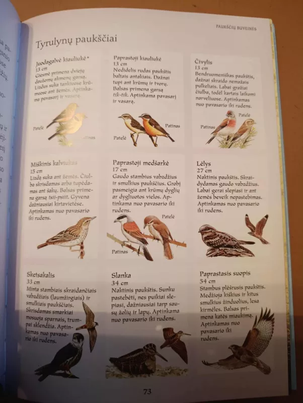 PAŽINK GAMTĄ: paukščiai, medžiai ir laukinės gėlės - Autorių kolektvas, knyga 6