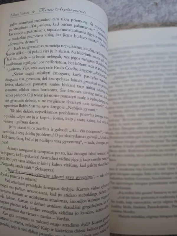 Kartais Angelas pasirodo: lašai širdžiai, Sielai, kūnui ir protui - Vakarė Aldutė, knyga 5