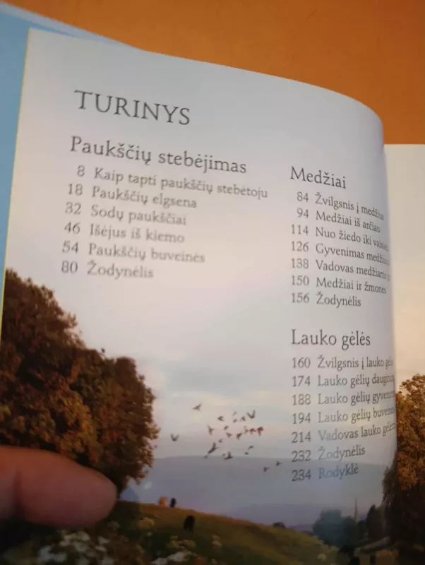 PAŽINK GAMTĄ: paukščiai, medžiai ir laukinės gėlės - Autorių kolektvas, knyga 4