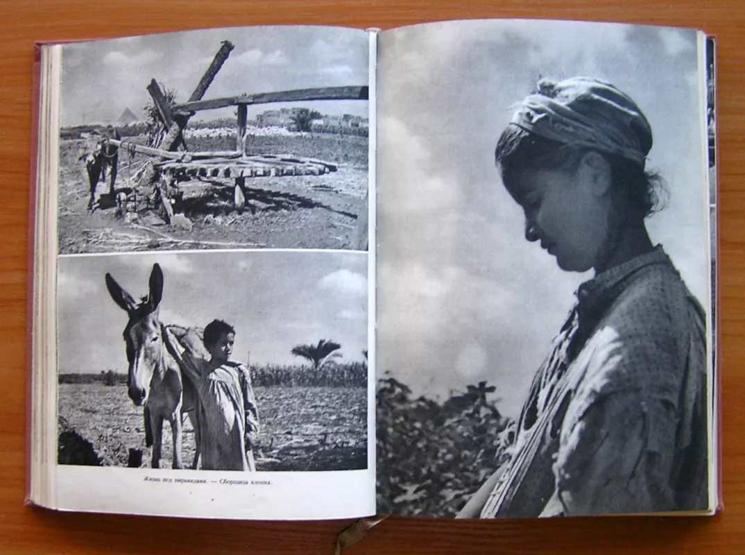 Svajonių ir realybės Afrika. 1 tomas (rusų kalba) - M. Zikmund, J. Hanzelka, knyga 5