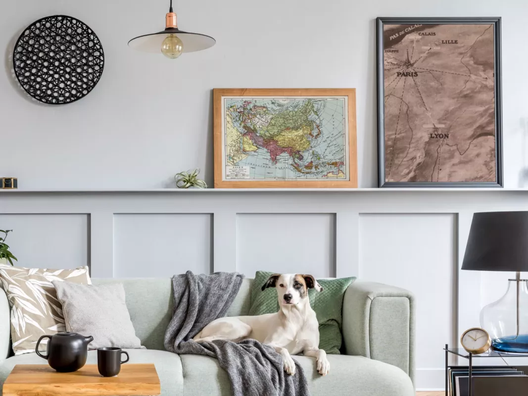 Azijos žemėlapis 1931 m. spalvota litografija iš Meyers Lexikon - , namai ir interjeras 2