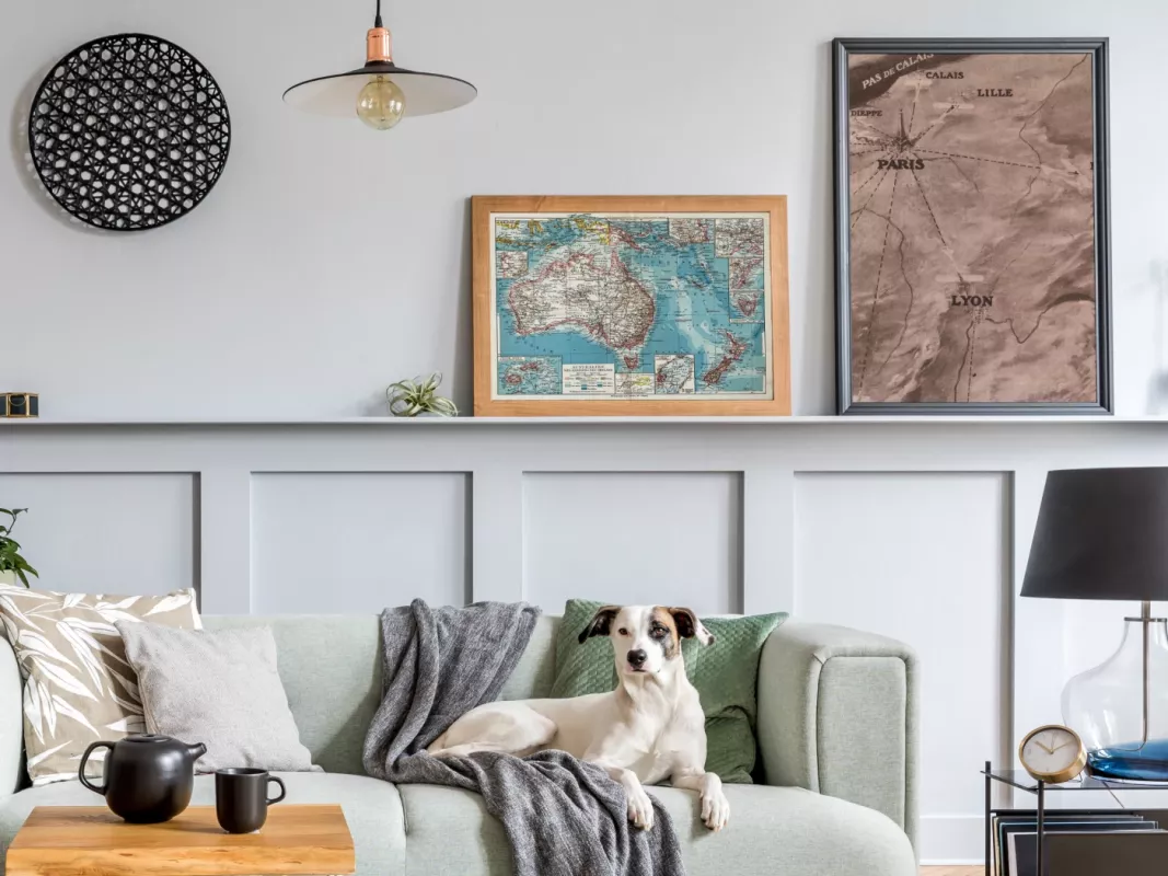 Australijos žemėlapis 1931m. antikvarinė spalvota litografija iš Meyers Lexikon - , namai ir interjeras 2