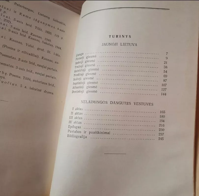 Rinktiniai raštai (II tomas) -  Maironis, knyga 6