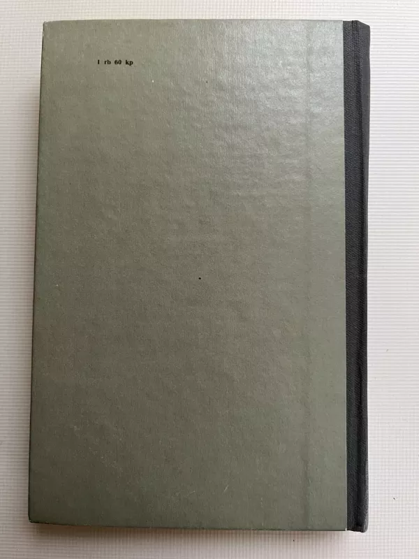 Briulovas - Vladimiras Porudominskis, knyga 3