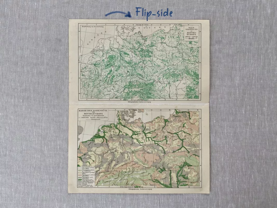 Centrinės Europos žemėlapis autentiska spalvota litografija 1931 m. Meyers Lexikon - , namai ir interjeras 5