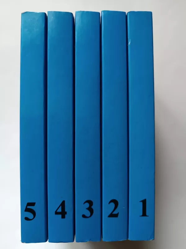 Šventojo Rašto skaitiniai kiekvienai dienai (5 tomai) - Įvairūs, knyga 4