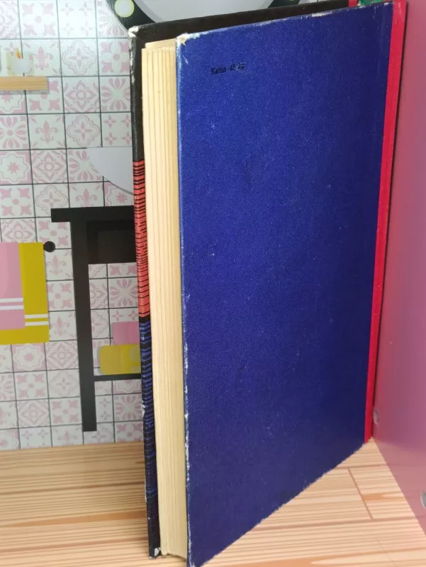 Mobis Dikas - Hermanas Melvilis, knyga 4