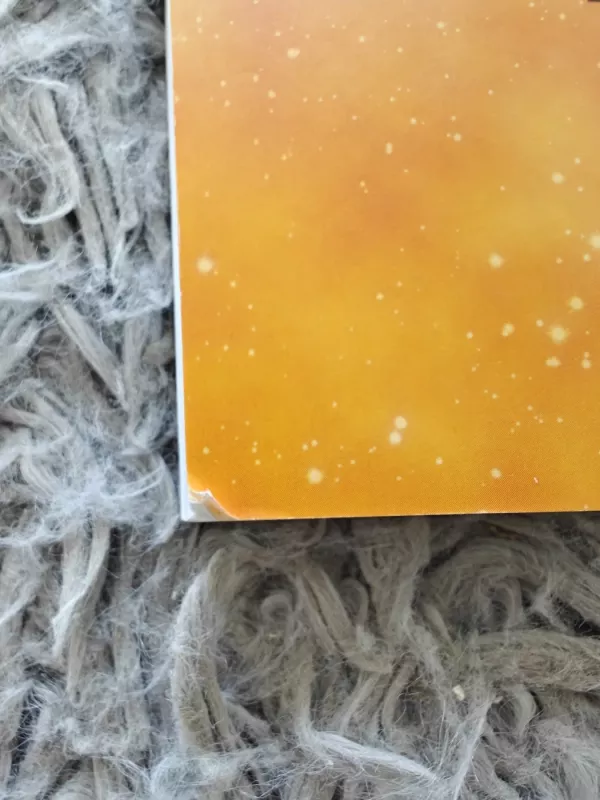 Gydymas šviesa - Barbara Ann Brennan, knyga 4