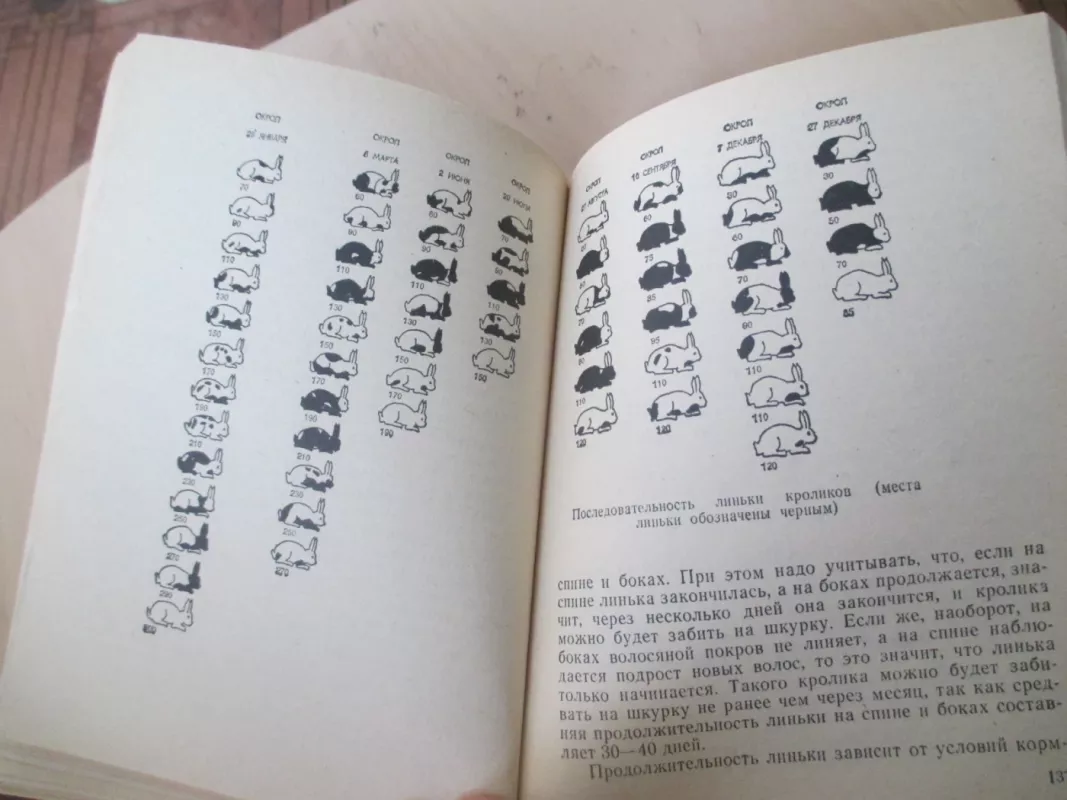 Triušininkystė individualiuosiuose ūkiose (rusų k.) - E. Vagin, R. Zvetkova, knyga 6