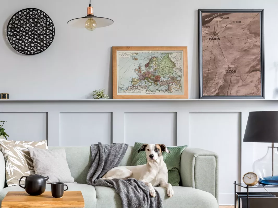 Europos žemėlapis antikvarinė spalvota litografija 1931 m. Meyers Lexikon - , namai ir interjeras 2