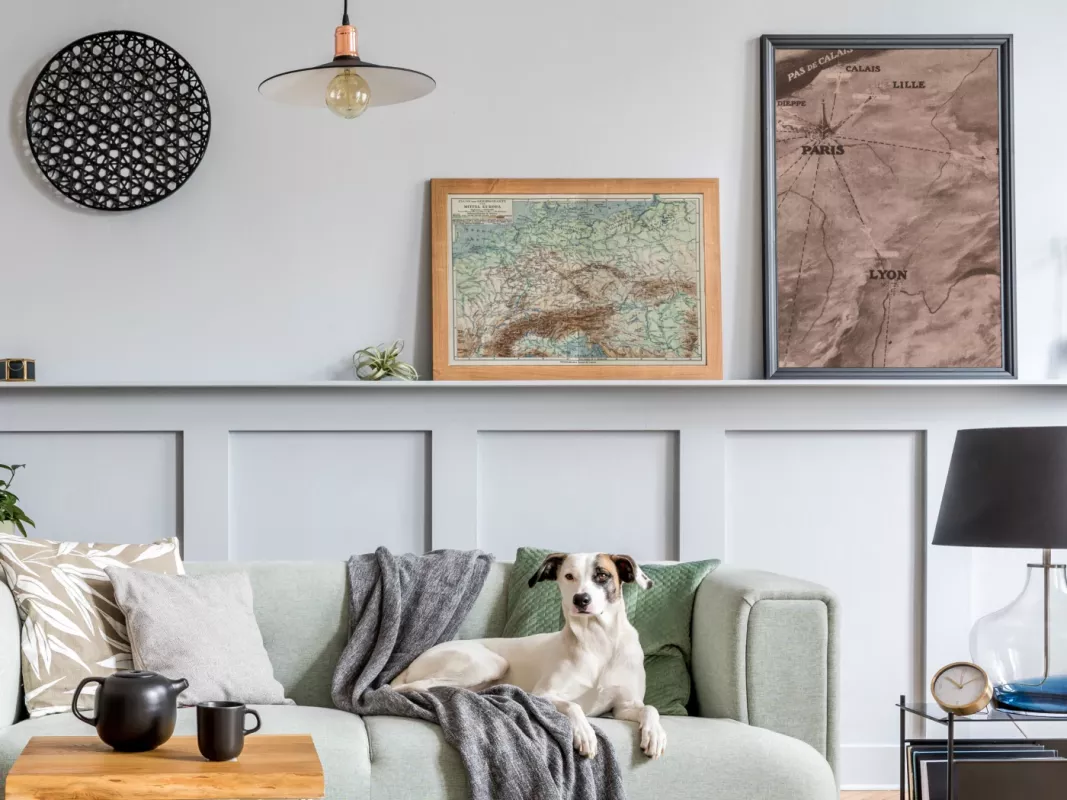 Centrinės Europos žemėlapis autentiska spalvota litografija 1931 m. Meyers Lexikon - , namai ir interjeras 2