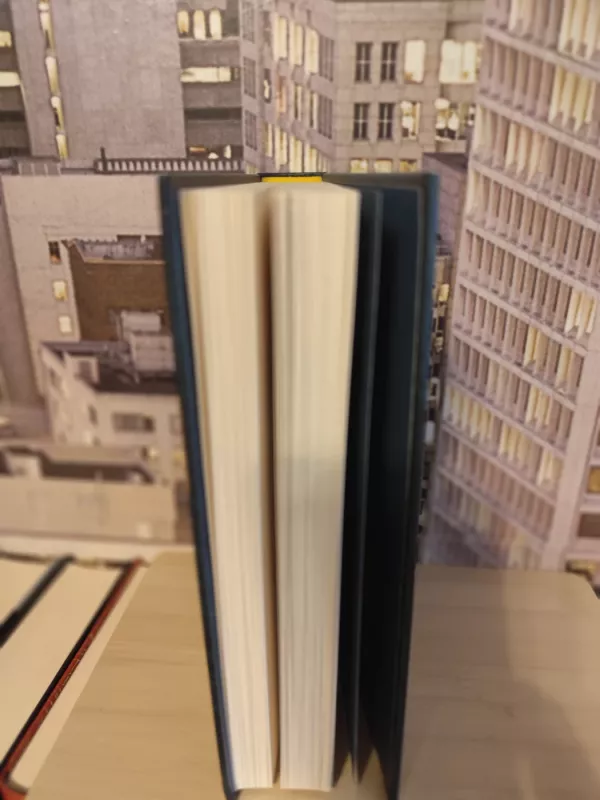 Jo ir jos - Alice Feeney, knyga 4