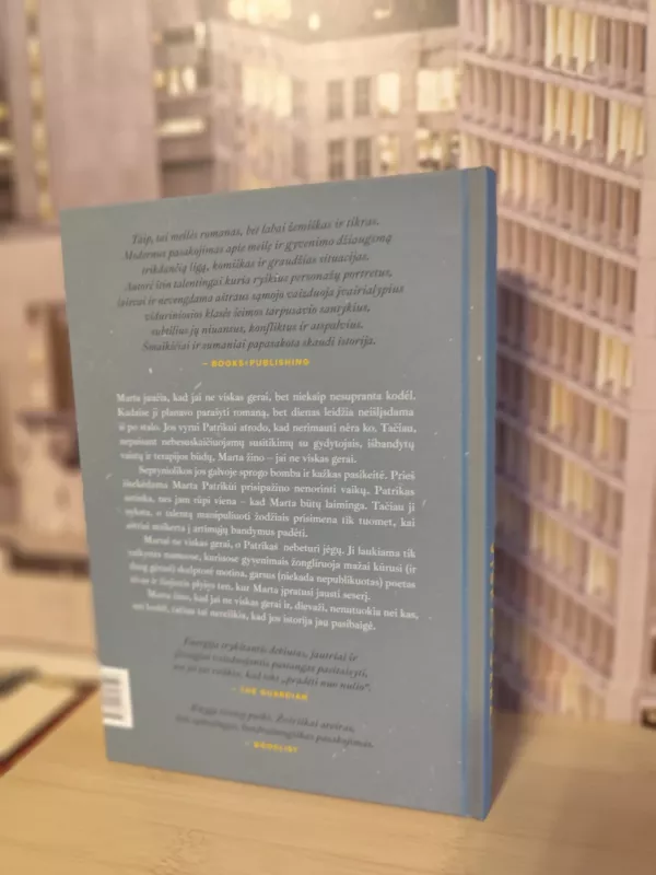 Regis man ne viskas gerai - Meg Mason, knyga 4