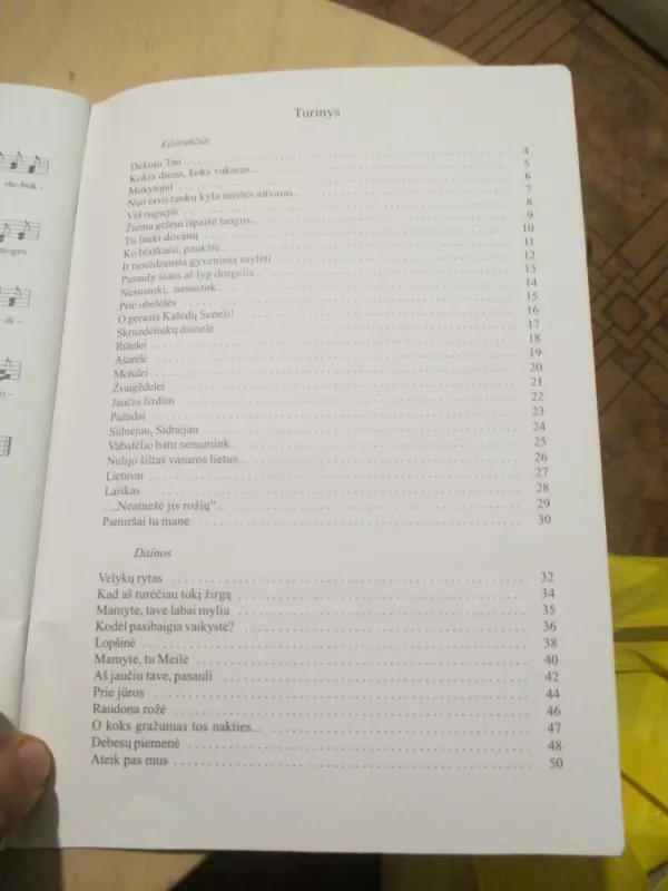 Uždekim širdžiai po žvakelę - Janina Žemaičiūnaitė, knyga 6