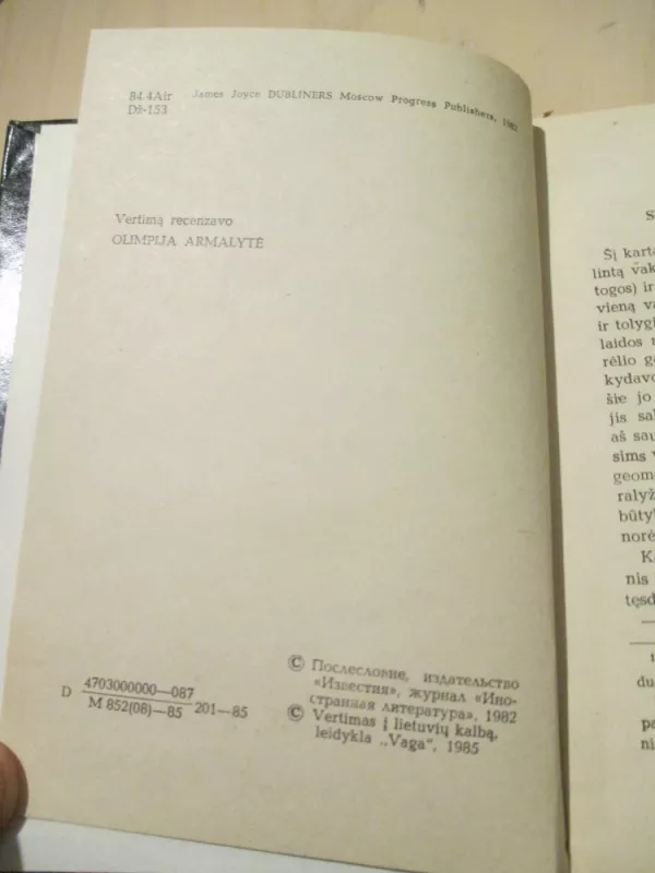 Dubliniečiai - Džeimsas Džoisas, knyga 6