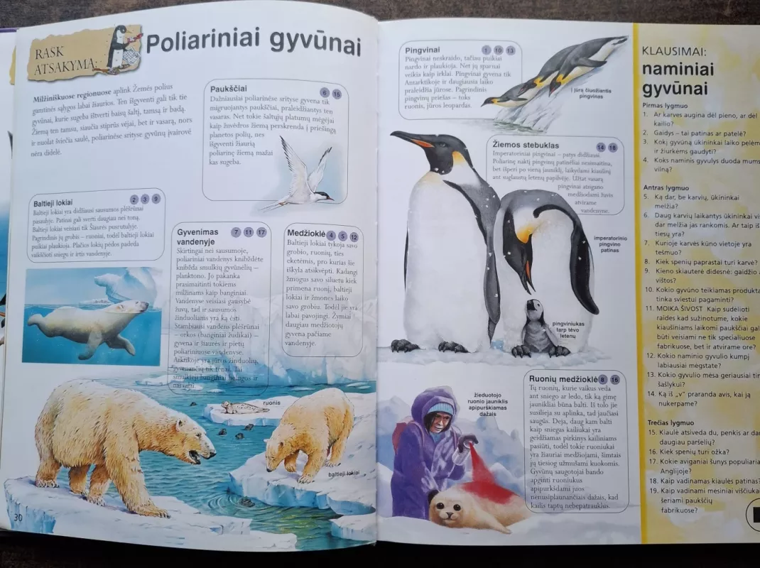 Klausimynas smalsiems ir žingeidiems (skaityta knyga) - Autorių kolektvas, knyga 5