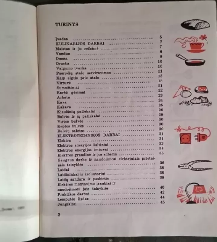 Buities darbai 4 kl. - A. Paurienė, knyga 3